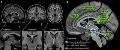 Deep Brain Stimulation of the Habenula: Systematic Review of the Literature and Clinical Trial Registries